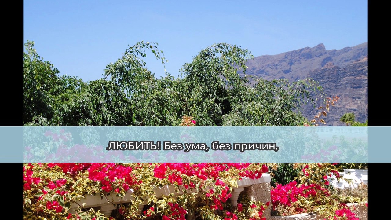 Фан-видео: Поёт Александр Бон. Танго «Querer» (Светлана Павловна Грибакина)