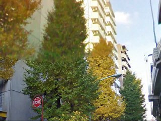 関東連合の市川海老蔵暴行現場　西麻布下座マニア向け