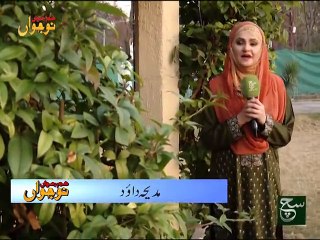 Hum Jawan Nojawan 17-01-2016