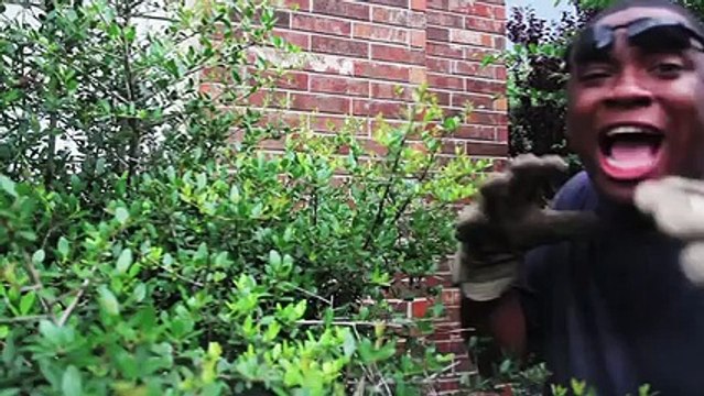 Acesti 4 tati ies din garaj! De ce_ Nu ma pot opri din ras! _ Tasify