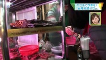 これでわかった！世界のいま (16-01-1)台湾総統選挙を動かす“覚醒”した若者たちに迫る！