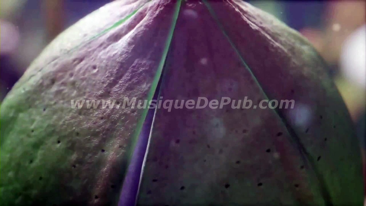 pub MSC Croisières 2016 [HQ]