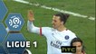 But Zlatan IBRAHIMOVIC (73ème) / Toulouse FC - Paris Saint-Germain - (0-1) - (TFC-PARIS) / 2015-16