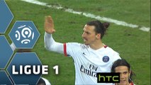 But Zlatan IBRAHIMOVIC (73ème) / Toulouse FC - Paris Saint-Germain - (0-1) - (TFC-PARIS) / 2015-16