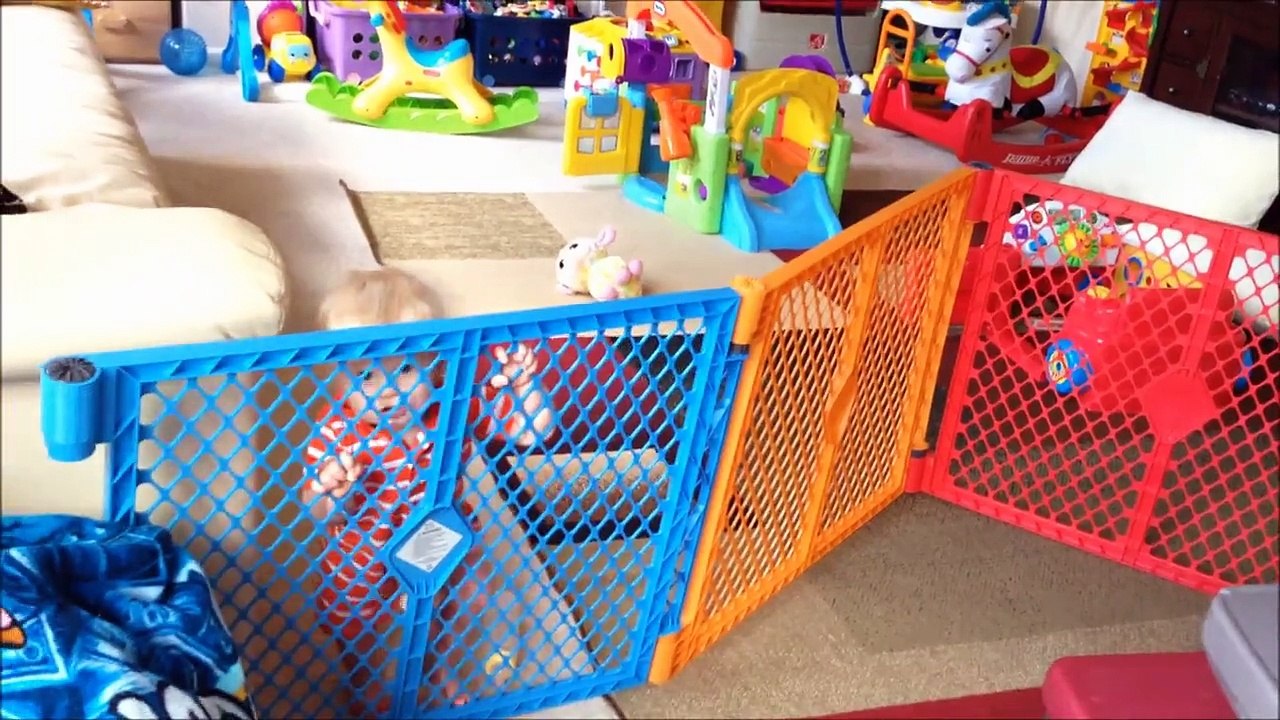 24 Hours With 5 Kids on a Sunny Day