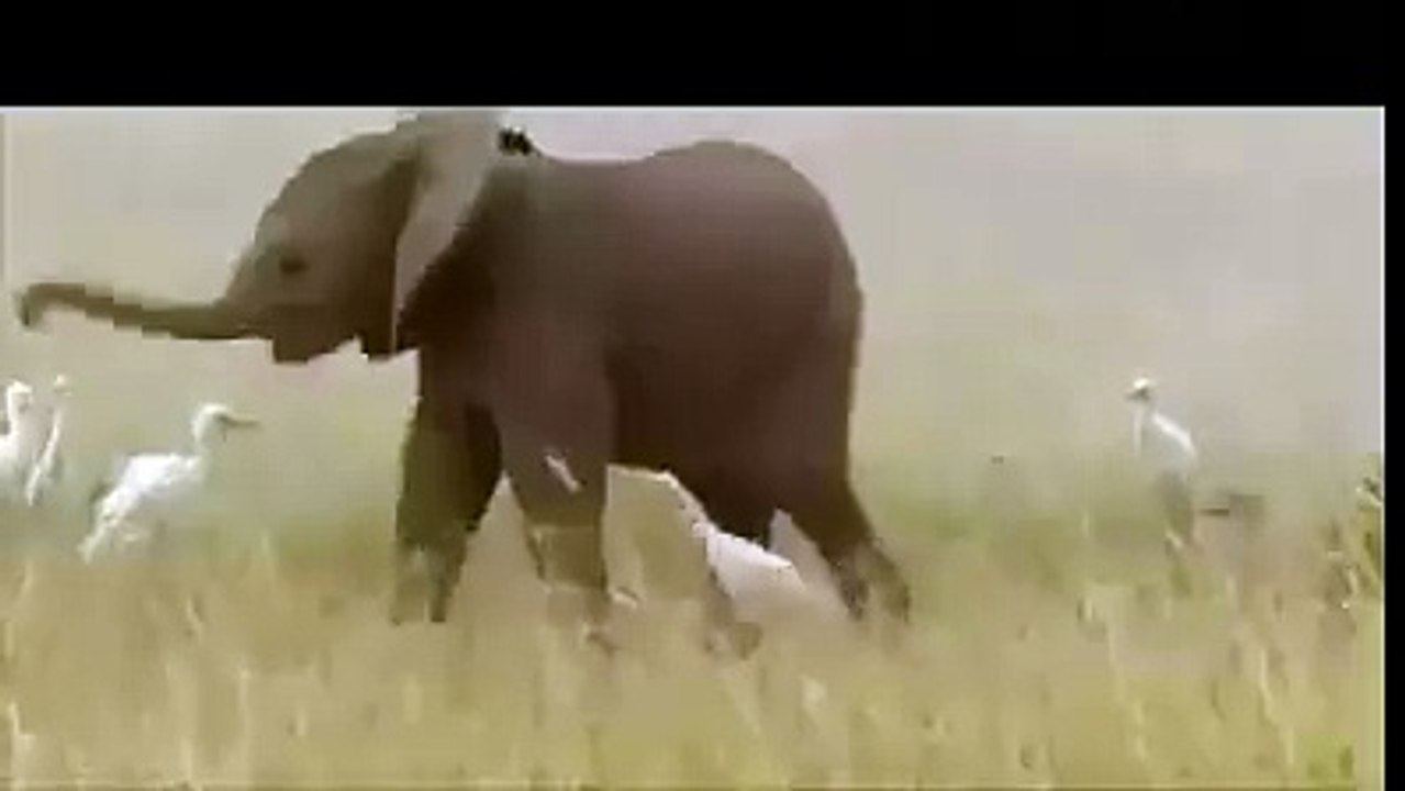 Cant control it
