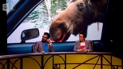 Moose on the pull - QI: Series M Episode 11 Preview - BBC Two
