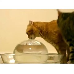 OMG! What did I touch