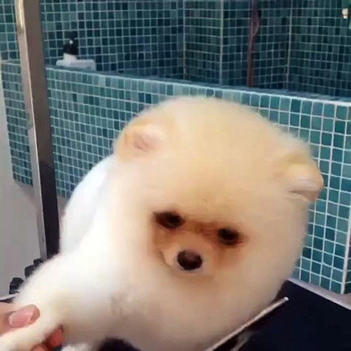 So kind