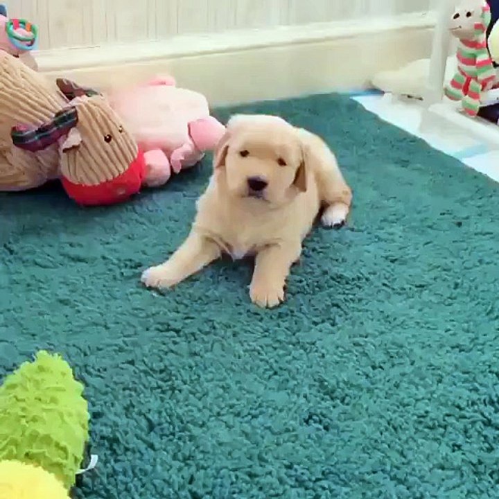 They made my day