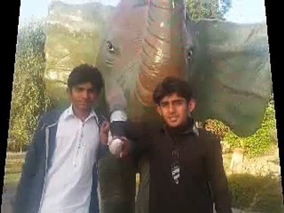 azaad duniya