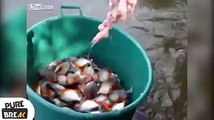 new amazing fishing technique... must watch.