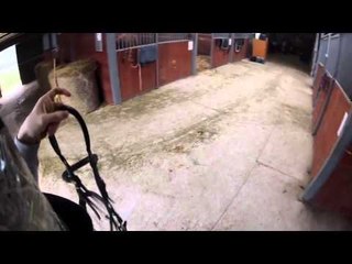 so you think horse riding is easy