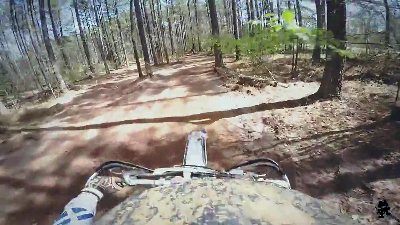 Insight - Short Edit