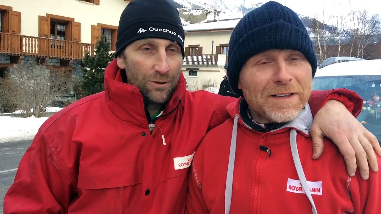 Les consultants