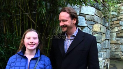 Uashington, panda Bej Bej trajtohet si “Yll”