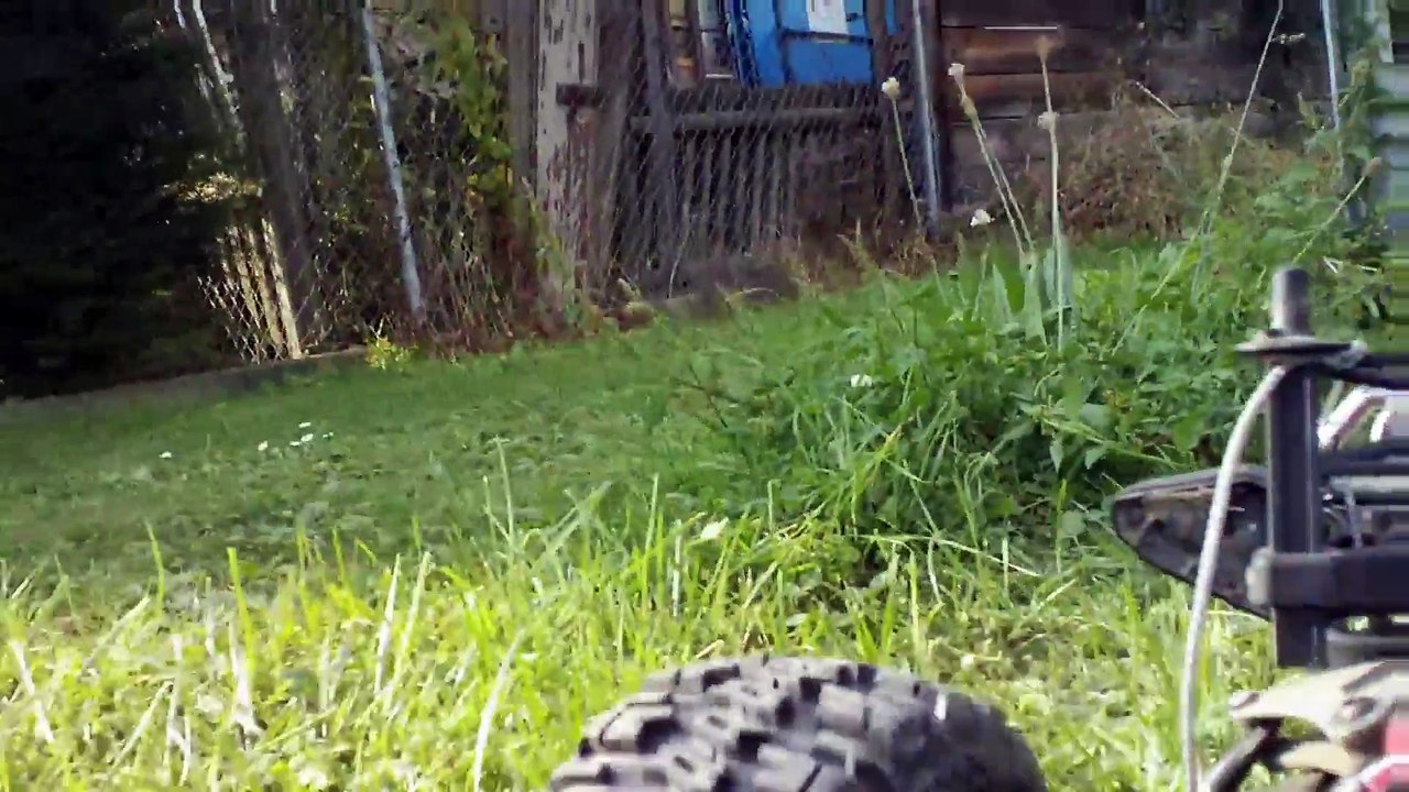 garten fun summit play