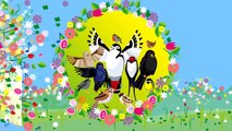 Alle Vögel sind schon da Kinderlieder zum Mitsingen | Sing Kinderlieder