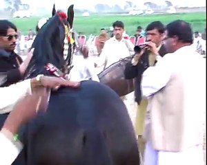 Horse Dancing Fair Sakrila Sarai Alamgir, Pakistan