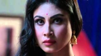 Naagin 17th January 2016 Full Episode Part 2