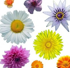 메가888슬롯게임 【〃ZVZV9.COM〃】카지노정보