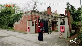 Alif Episode 159 on See Tv - 17th January 2016