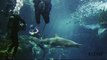 Bain de mer de Rihanna avec les requins : les coulisses du shooting pour Harpers Bazaar