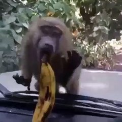 Very Funny Must Watch ..  LOLZ