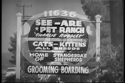 VINTAGE_1959_PUSS_N_BOOTS_Charlie Ruggles