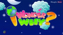 Why Does The Moon Change Shape? I Wonder Why Amazing & Interesting Fun Facts Video For Kid