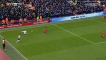 Wayne Rooney Goal  - Liverpool 0-1 Manchester United 17.01.2016 HD