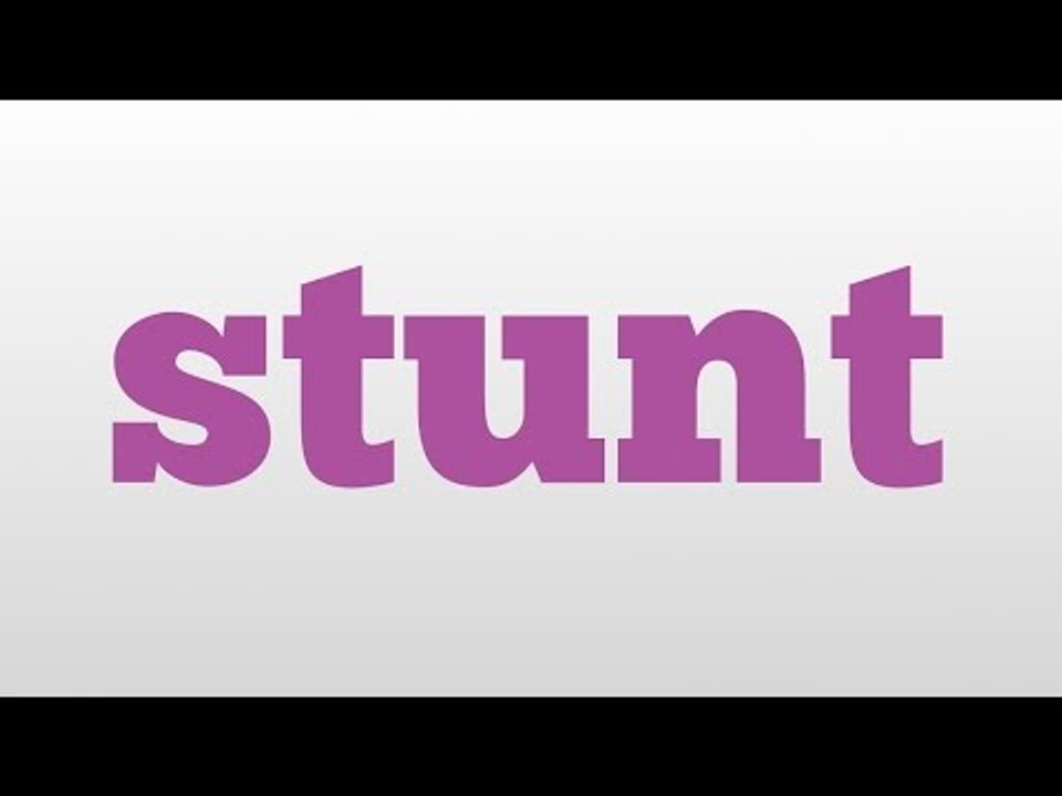 stunt meaning and pronunciation
