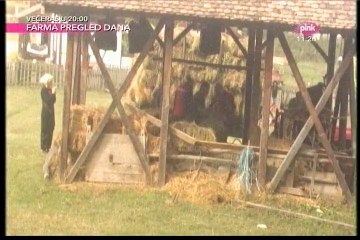 Stanija baca seno! #Farma 6