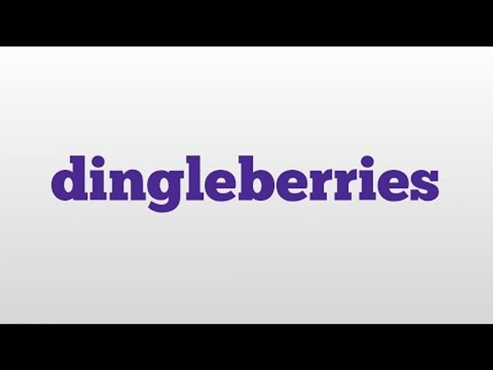 dingleberries meaning and pronunciation - video Dailymotion