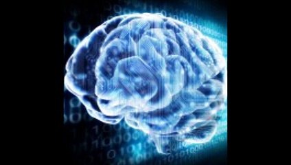 Sauvegarder son cerveau pour vaincre la mort. Laurent Alexandre dévoile le neuroprojet fou de Google