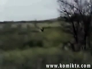 A lion attacked on hunters