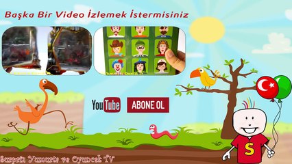 Ahşap Oyuncak Tavuk ve Yumurtalar ile 3 Kinder Surprise Minyonlar Sürpriz Yumurta izle