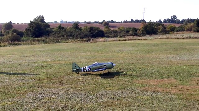 BLACK HORSE SEA FURY RC SCALE MODEL AIRCRAFT WARBIRD FLIGHT DEMONSTRATION