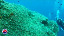 Diving with us - Immersione subacquea a Spargi - Parco Nazionale Arcipelago di La Maddalena - Sardegna
