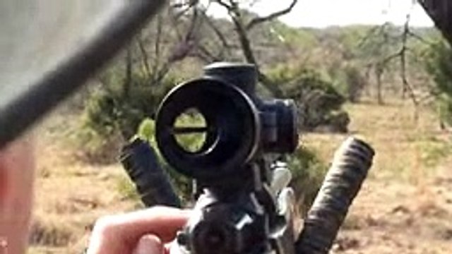 Motsomi Safaris South Africa Rifle Hunting of Lion Ginny
