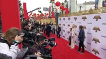 KUNG FU PANDA 3 World Premiere B-Roll (2016) Angelina Jolie, Lucy Liu (720p FULL HD)