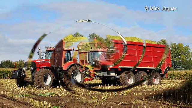 Claas Jaguar 960 + Case IH puma 230 cvx & DEWA 50m³ Loonw. Bart Sprangers