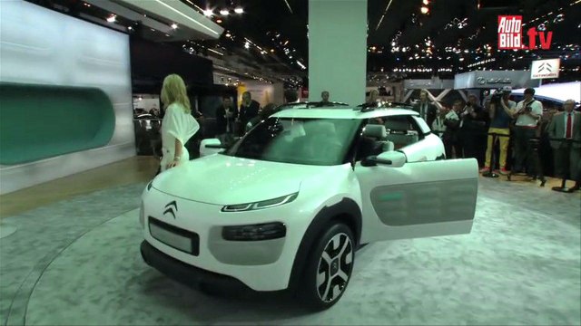 Estrellas y estrellados del Salón de Frankfurt 2013