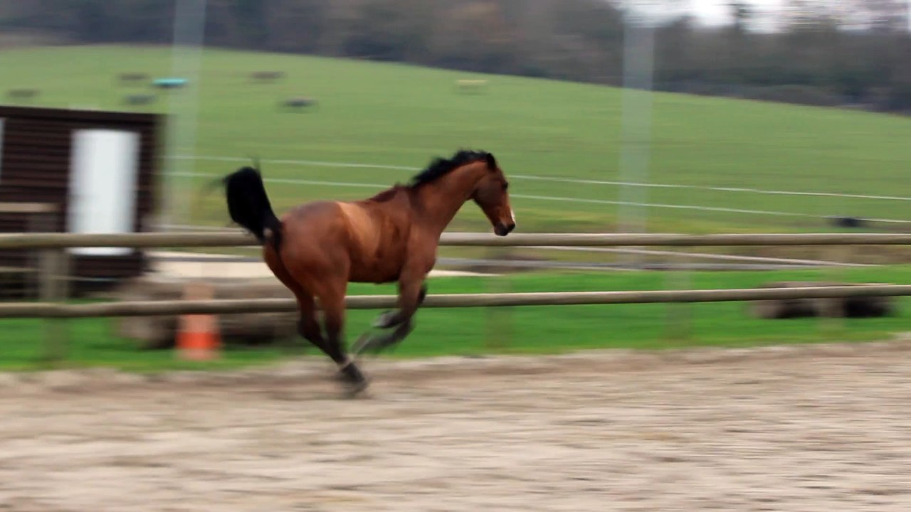 16-01-17 - Défoulage !