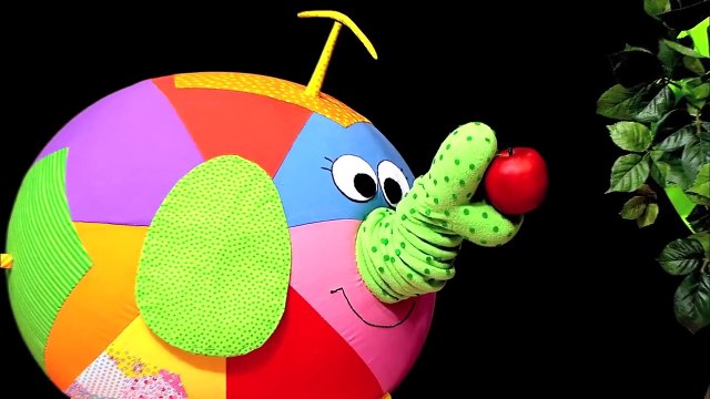 Мультики для самых маленьких: Что это, Мойа? Развивающий мультик, 25 серия.