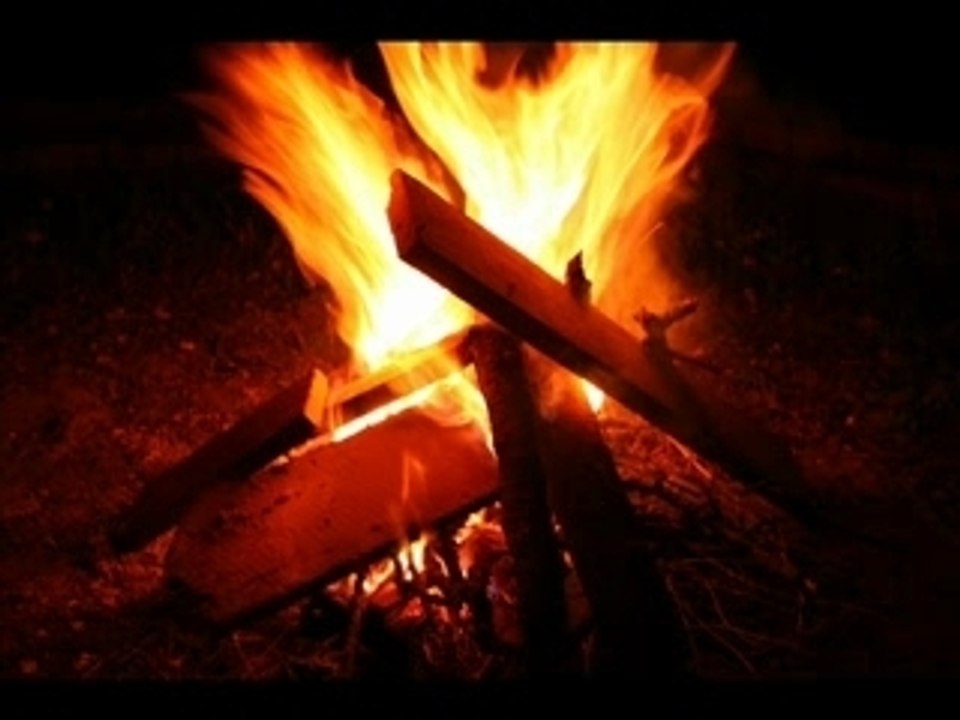 Histoires naturelles