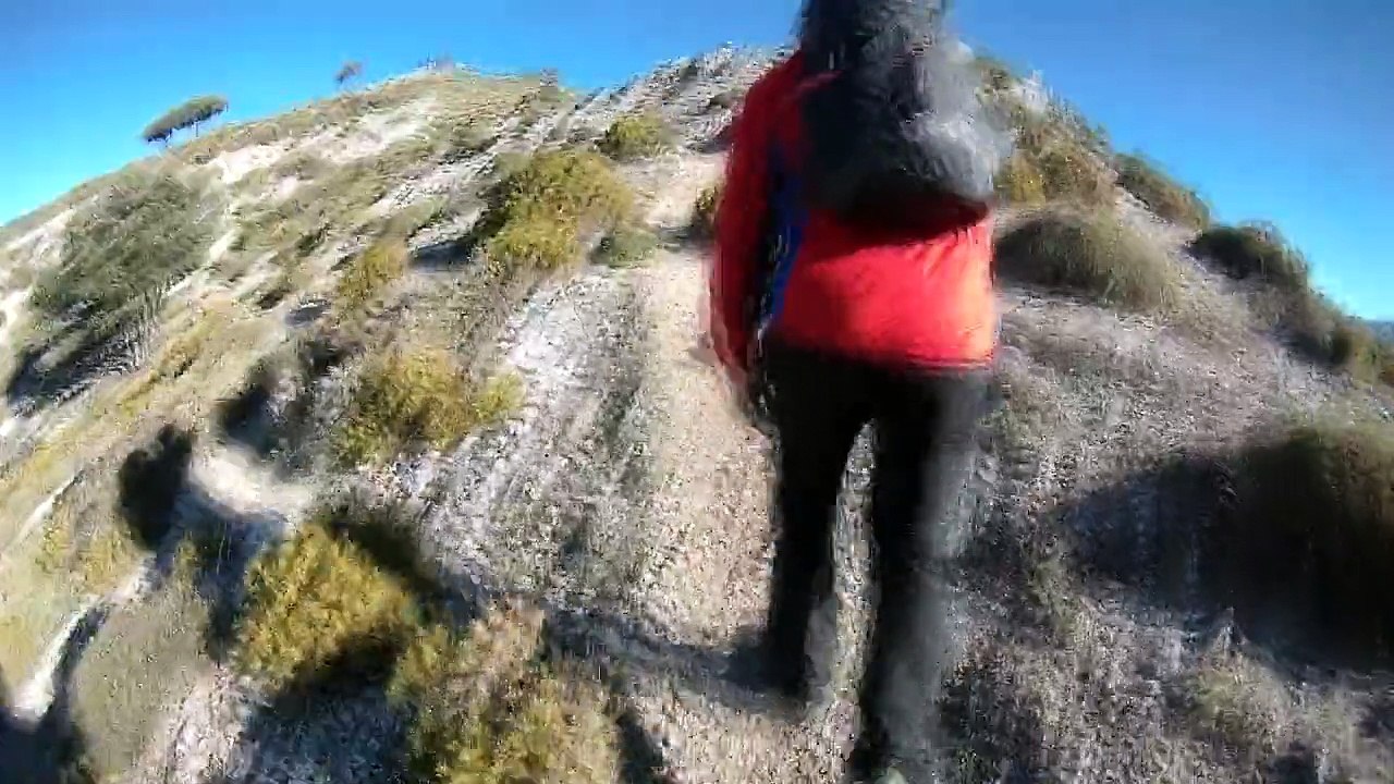 Subida a Cerro Gordo