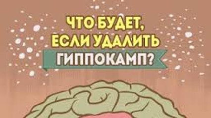 Video herunterladen: Что будет, если удалить гиппокамп?