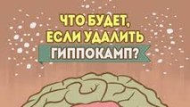 Что будет, если удалить гиппокамп?