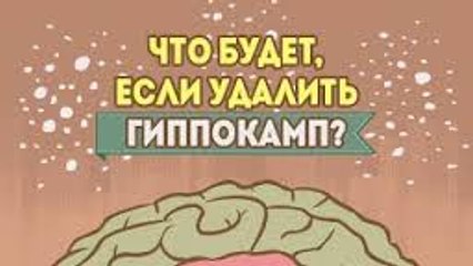 Что будет, если удалить гиппокамп?